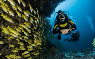 Snorkeling di Gili Trawangan: Bertemu Penyu dan Terumbu Karang