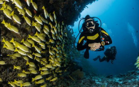 Snorkeling di Gili Trawangan: Bertemu Penyu dan Terumbu Karang